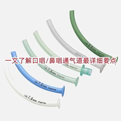 咽通什么地方一文了解口咽／鼻咽通气道最详细要点-上海聚慕医疗器械有限公司