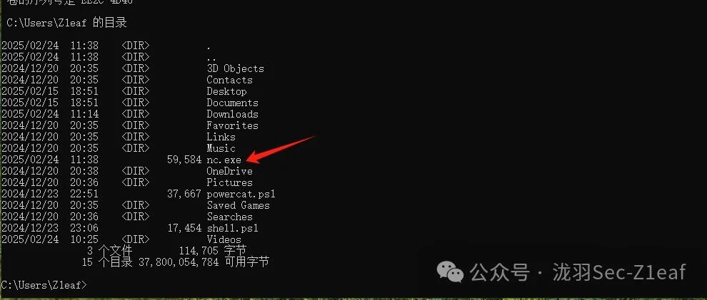 Example Image