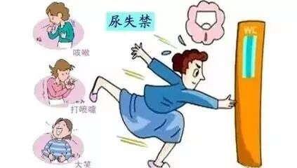 【盆底肌修复】产后恢复光塑形？错！这块肌肉的恢复更重要！！！