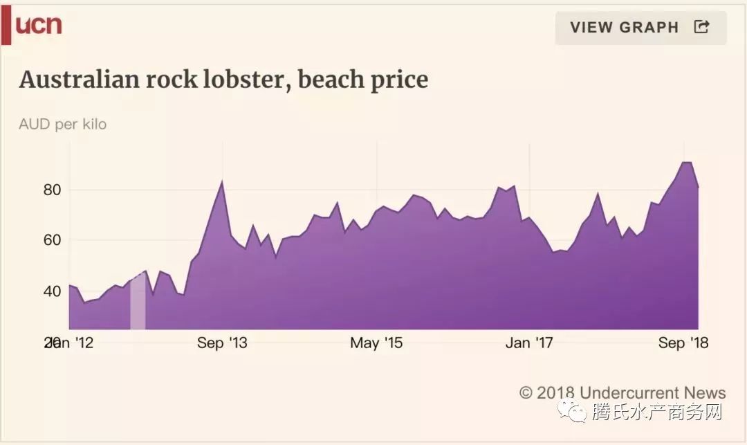 中澳全面自贸协议明年生效，澳洲龙虾生产商如何看待未来的中国市场？
