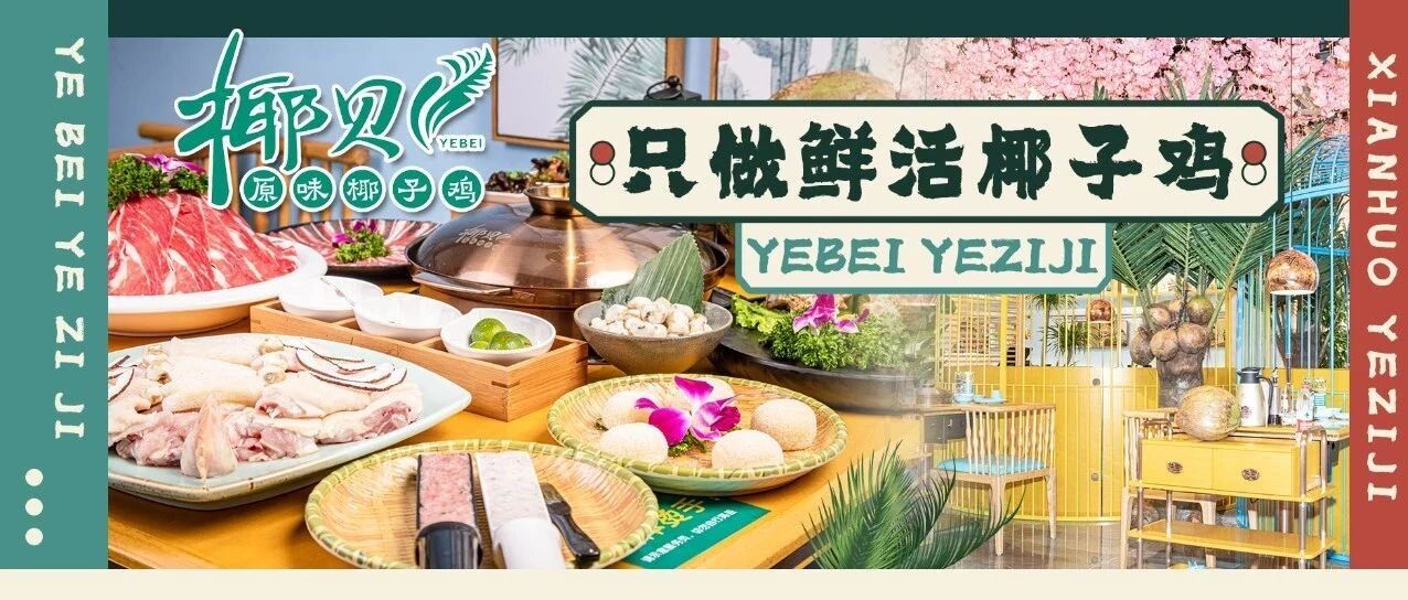 太奢侈！竟然拿两只椰子一只鸡做锅底！4.8折先到“鲜”尝！