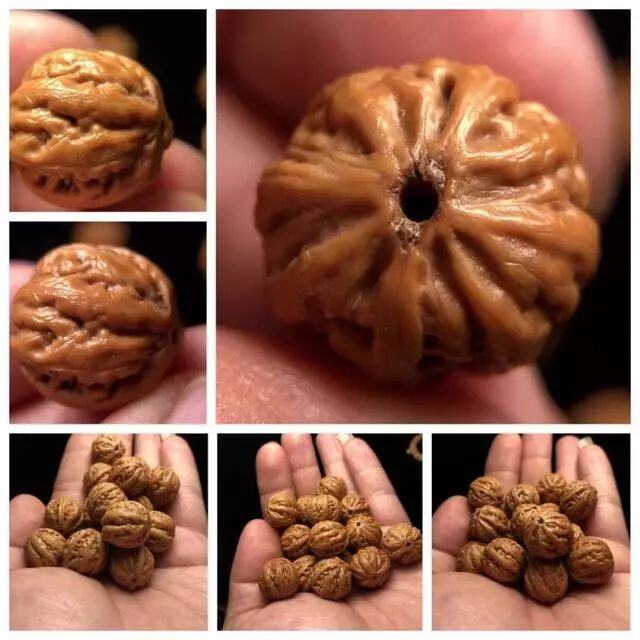 文玩野生小核桃，八棱和京八棱你真的分得清吗？