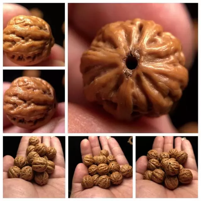 文玩野生小核桃,八棱和京八棱你真的分得清吗? 文玩野生小核桃,八棱和京八棱你真的分得清吗?