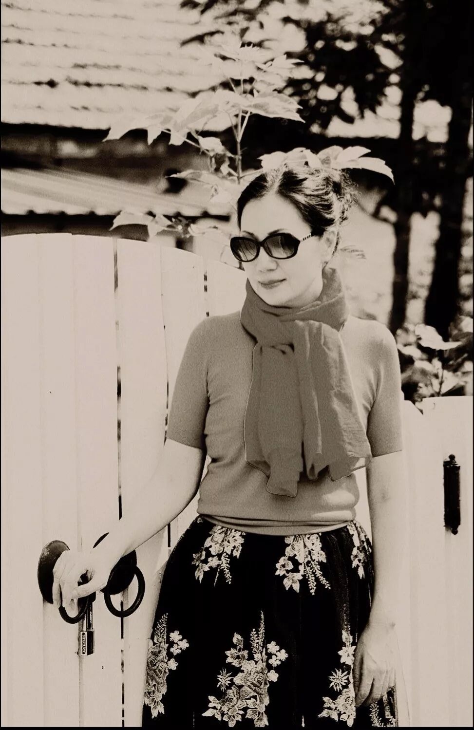 薇微诗话：梦薇《静放的野菊》朗诵  黑丹