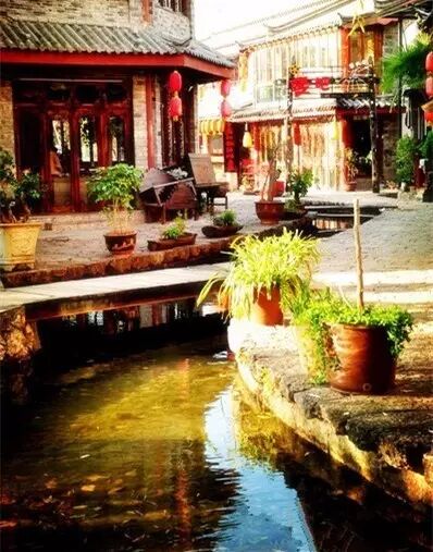 薇微诗话：梦薇《遇见》朗诵  路芳