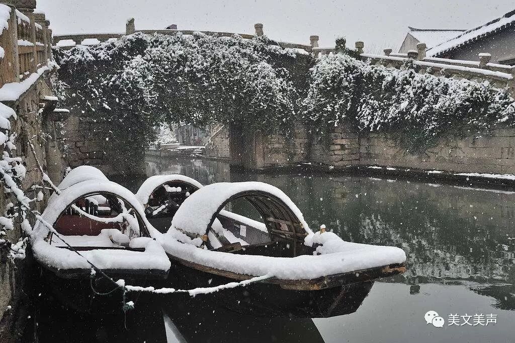 薇微诗话：艾青《雪落在中国的土地上》朗诵  倪祖铭