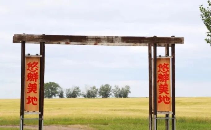 放弃北京高薪， 华人全家移民加拿大种菜（组图） - 15