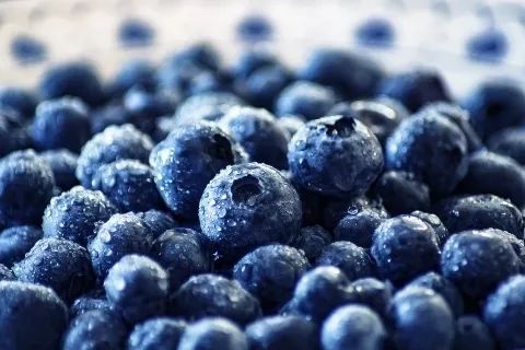 澳大利亚果业集团Costa巨资建蓝莓基地， 签约落地云南保山