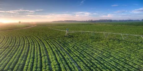 澳大利亚的农业科技：推动农业物联网的互联互通