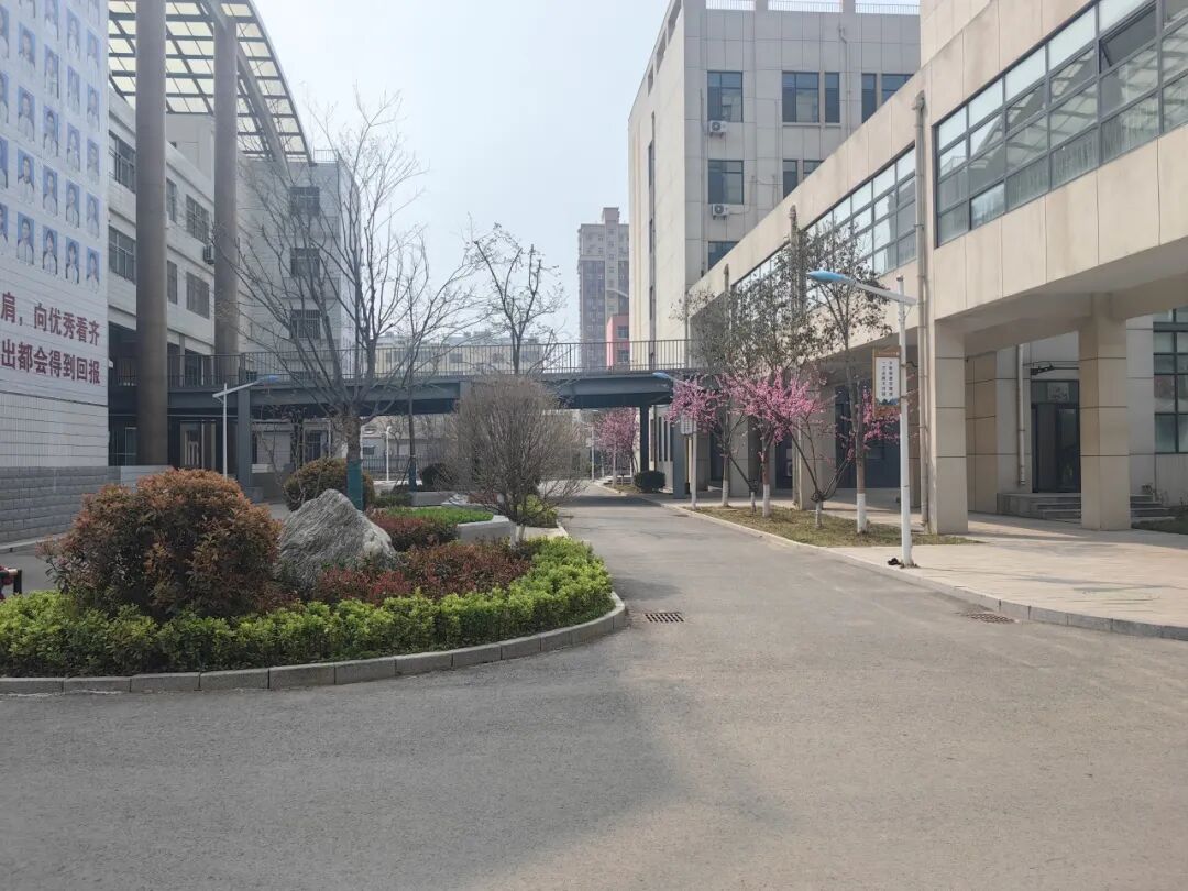 春意阑珊处校园蕴新生丨聊城市水城中学