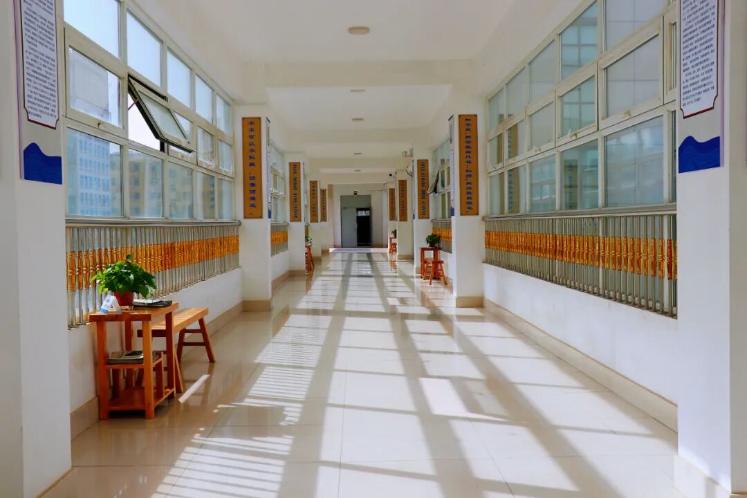 春意阑珊处校园蕴新生丨聊城市水城中学