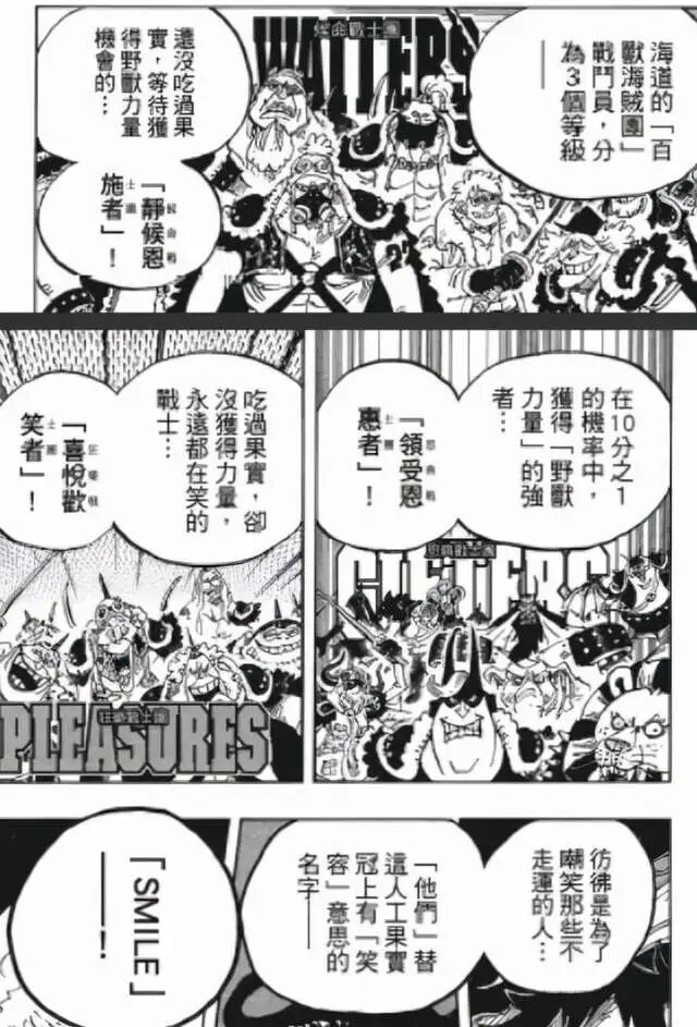 百兽海贼团观察研究报告 全网搜