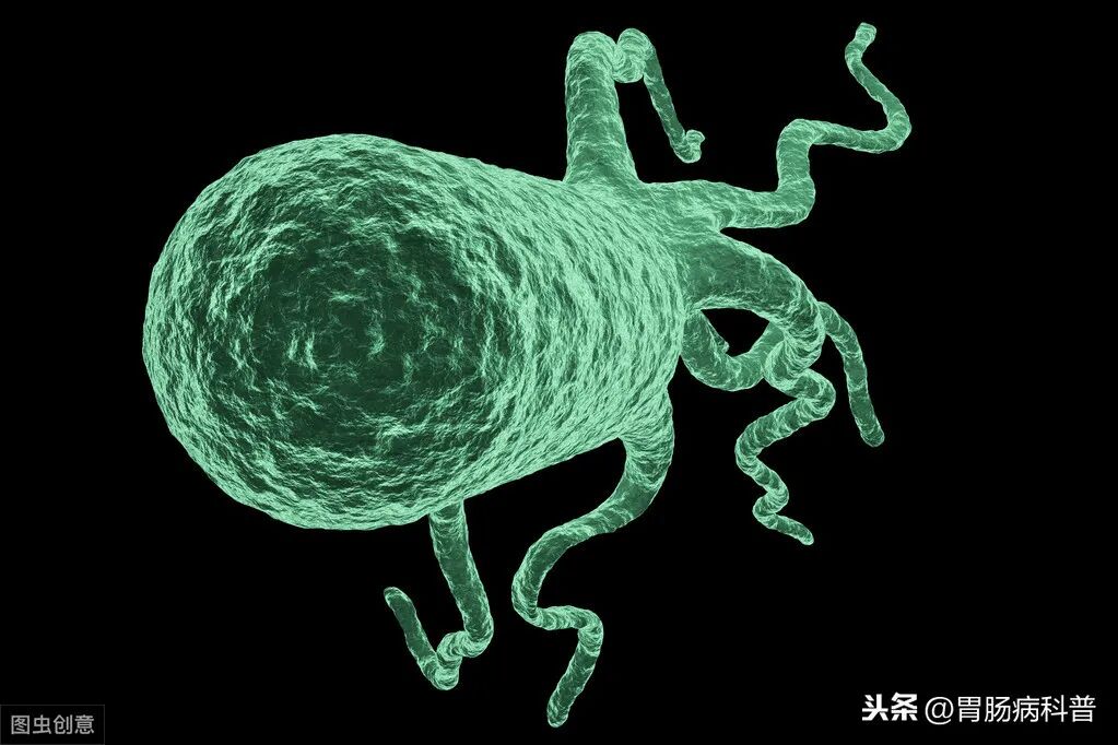 怎么得卡式幽门螺杆菌幽门螺杆菌没那么可怕，我来教你怎么查、怎么防、怎么治_https://www.jmylbn.com_新闻资讯_第7张