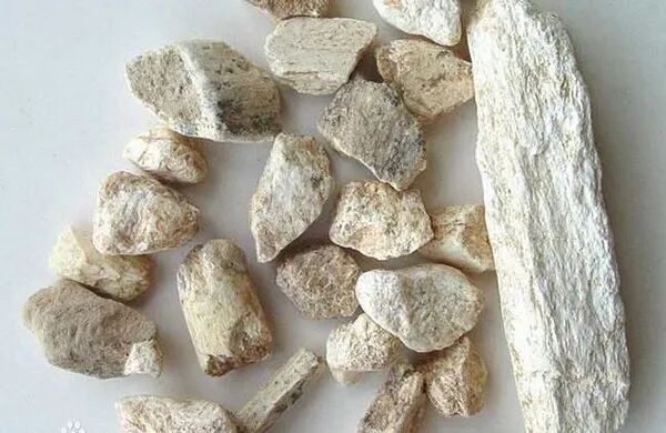 为什么心是钩脉龙骨的功效与作用：镇心安神，平肝潜阳，固涩，收敛。_https://www.jmylbn.com_新闻资讯_第2张