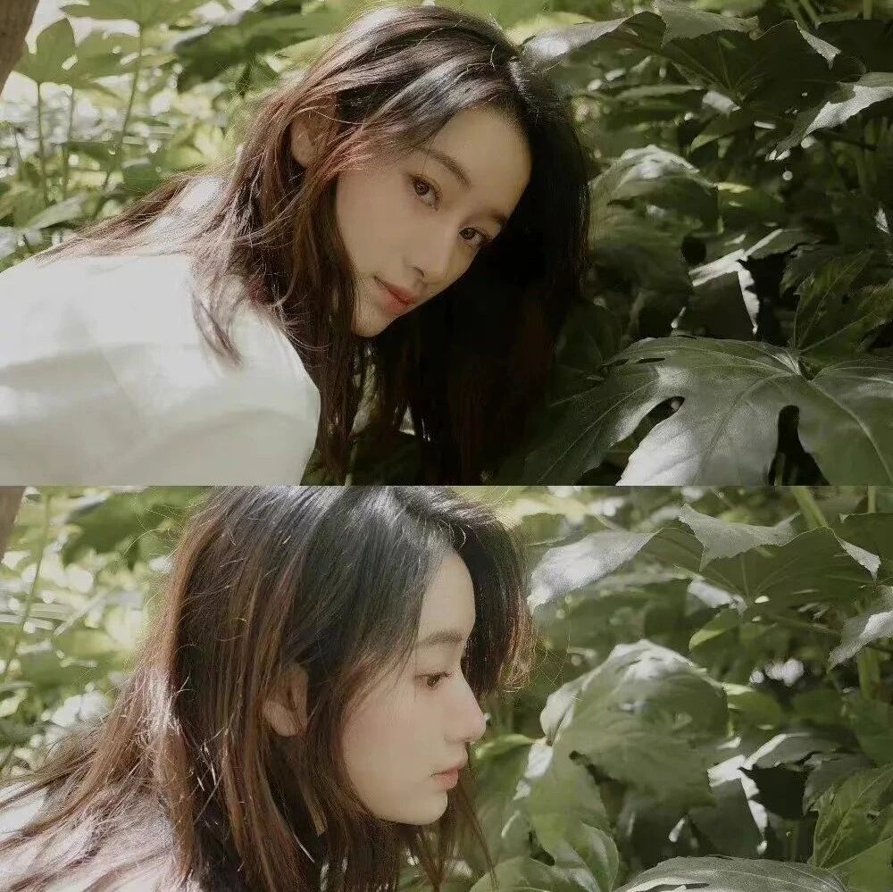 姐妹早茶铺|郭晓婷说,朋友是个很谨慎的词