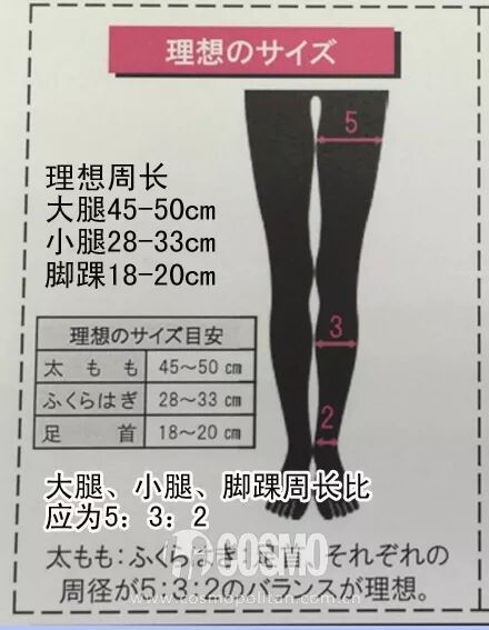 标准:大腿围45-50cm;小腿围28-33cm;脚踝围18-20cm,且这三部分的周长