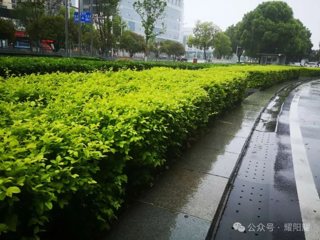 2024年04月18日 江城天气