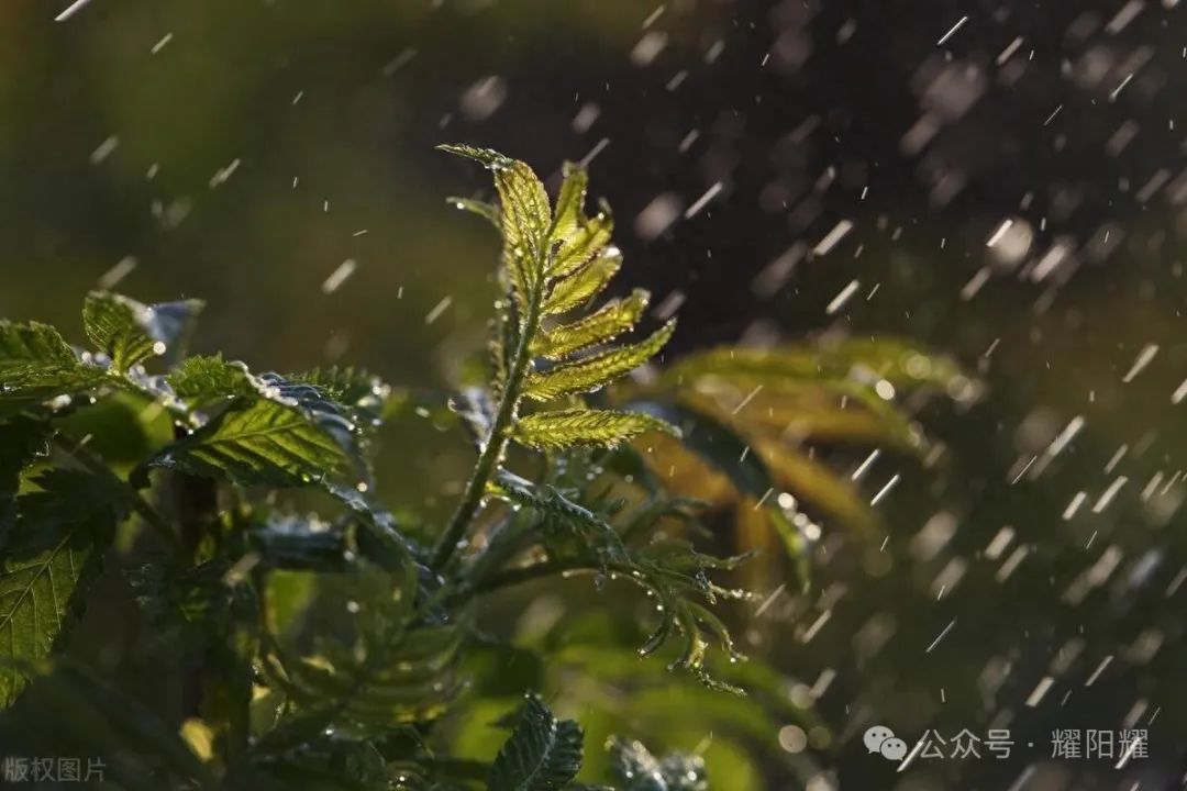 2024年04月18日 江城天气