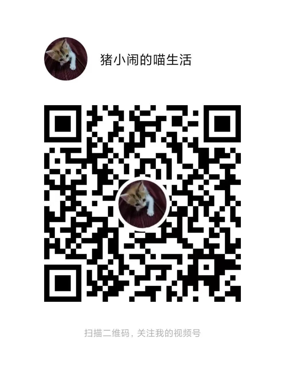 实录|在这场婚姻里，她慢慢修炼成泼妇的模样(图2)