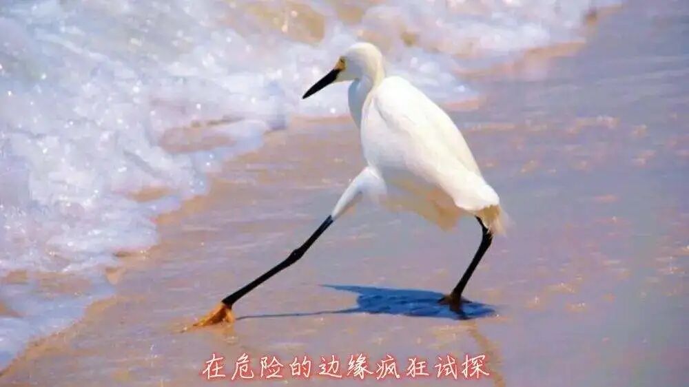 开刀孔怎么开刀技术 ｜ 不开刀用镜子做手术！小小“钥匙孔”解决患者大痛苦_https://www.jmylbn.com_新闻资讯_第2张