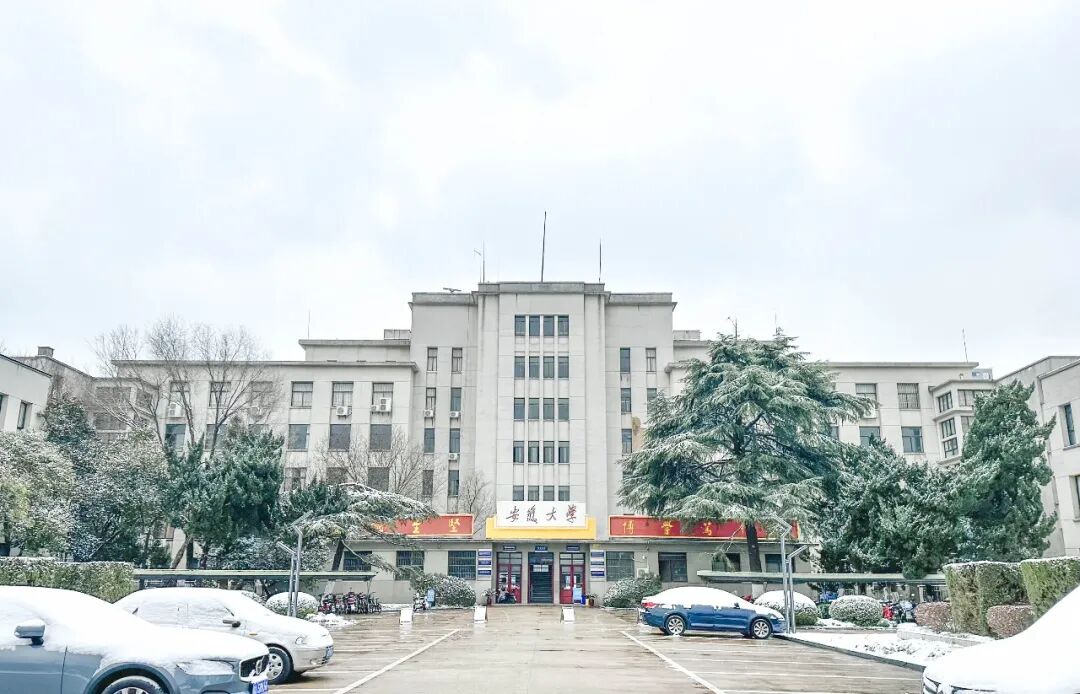 去安徽大学学专业