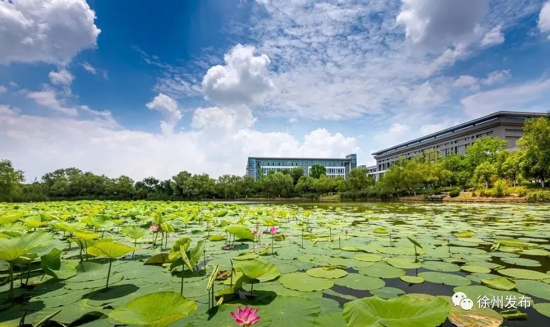 0516-83500009,0516-83403064徐州工程学院:0516—83105200中国矿业大