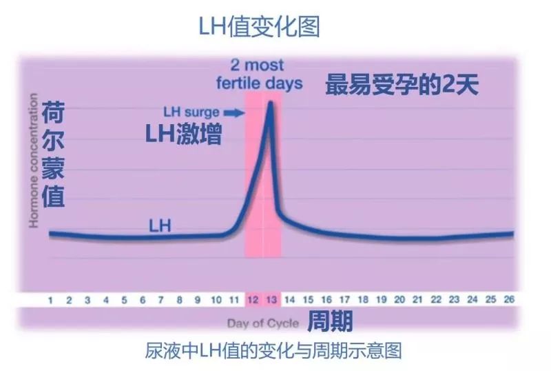 婚姻裡女性通關秘籍 親子 第6張