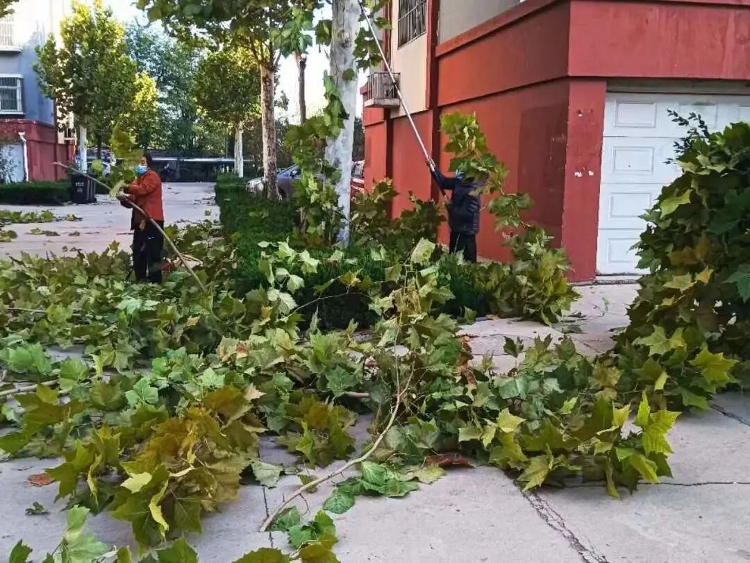寿光高新区古城街道整治不降温全力提颜值
