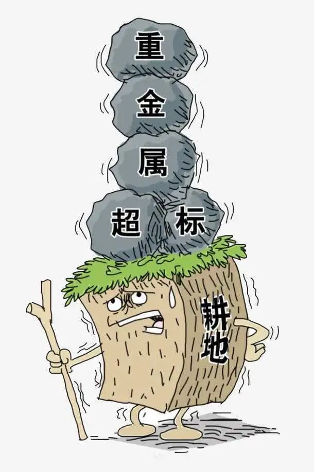 土壤改良土壤重金属污染改良