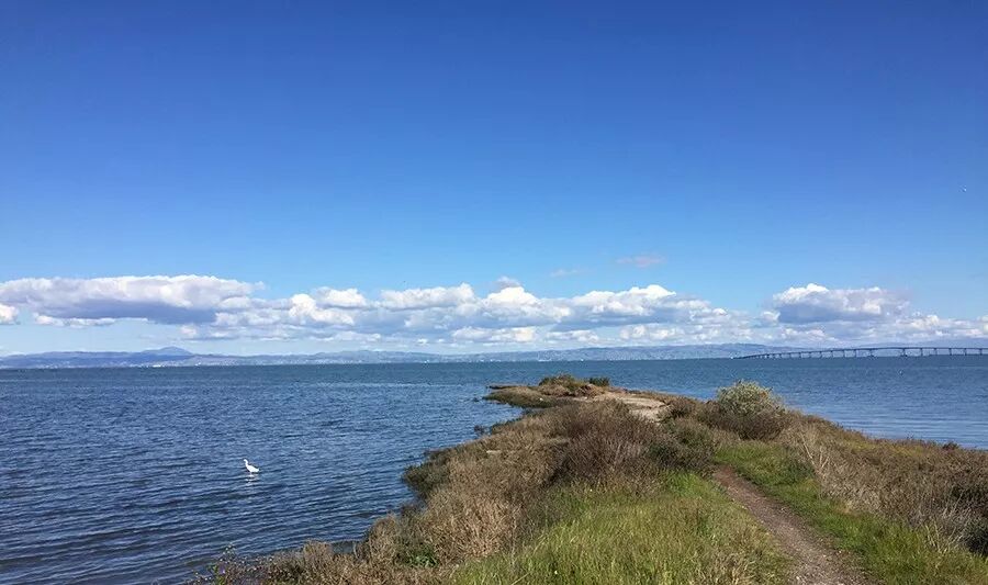 640?wx_fmt=jpeg&tp=webp&wxfrom=5&wx_lazy=1&wx_co=1