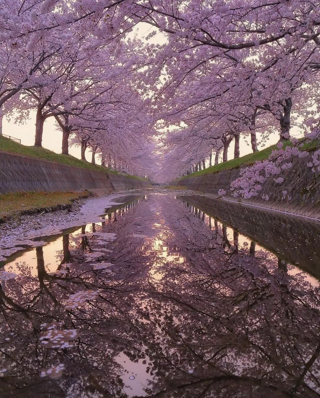 how to practice buddhism