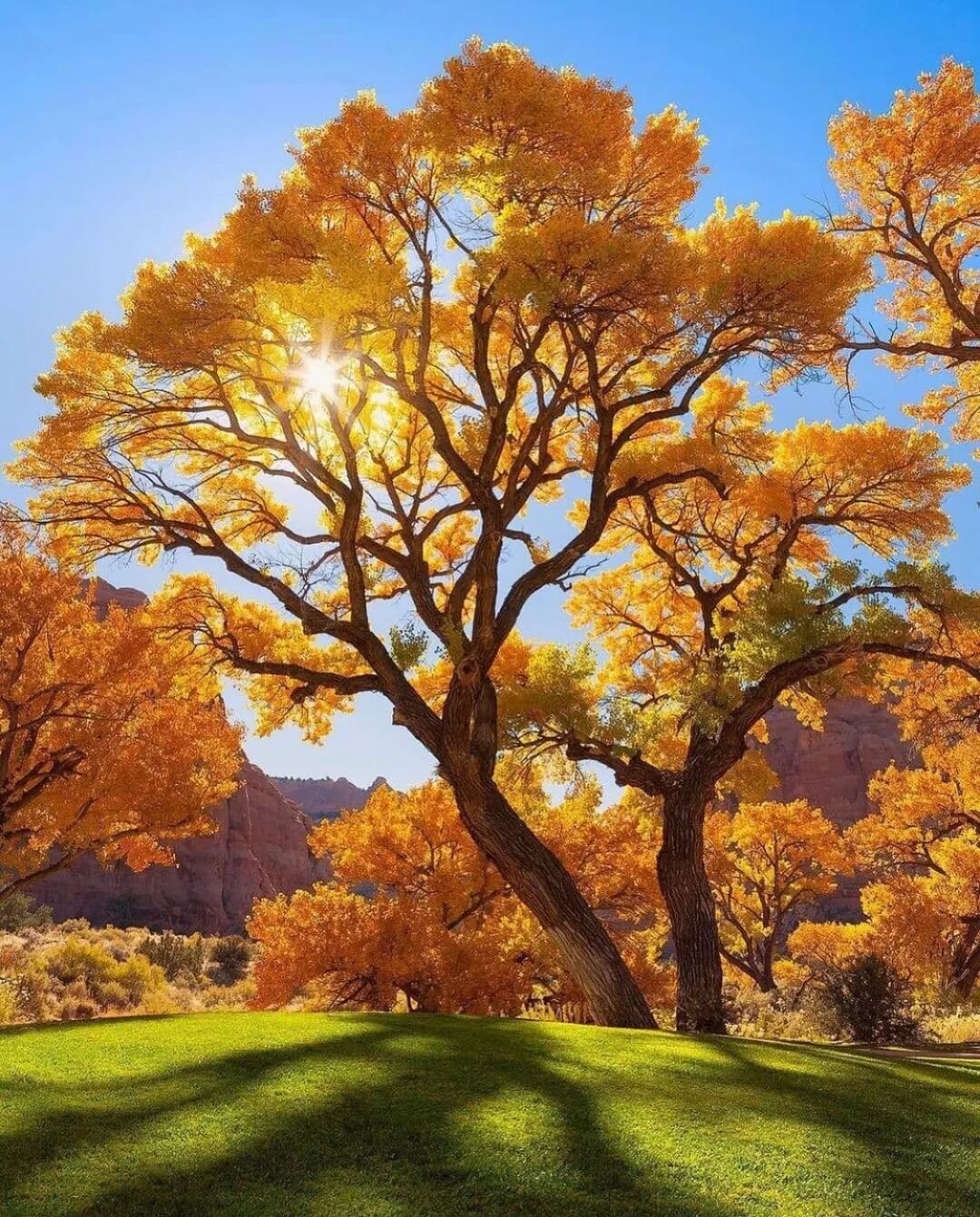 what is buddhism about