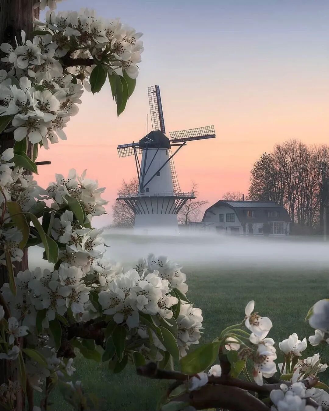 what is buddhism beliefs