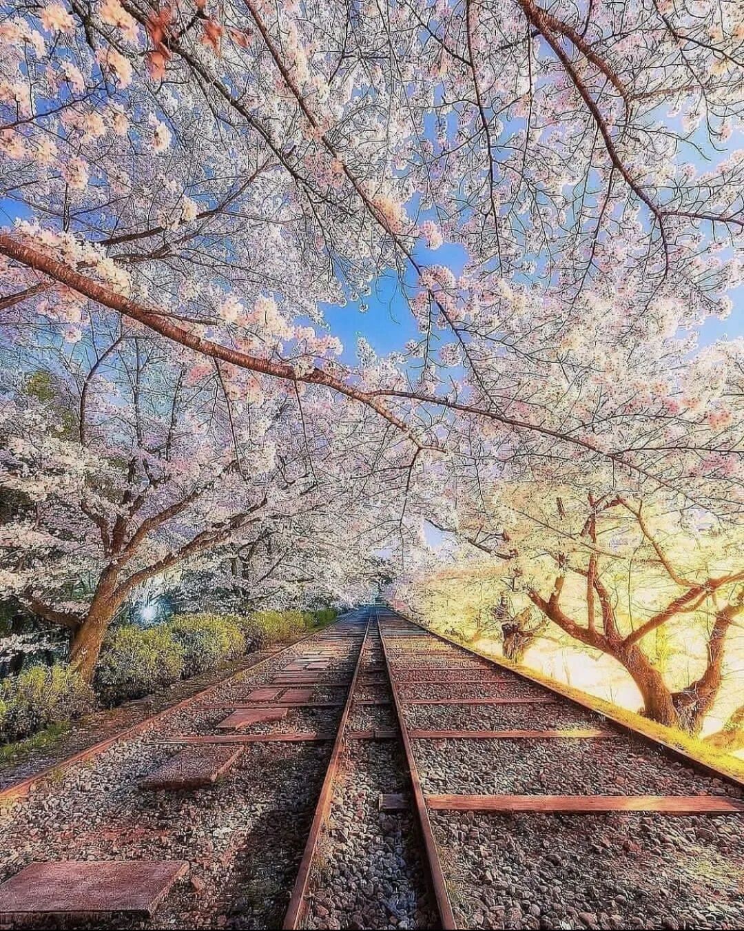 what are the beliefs of buddhism