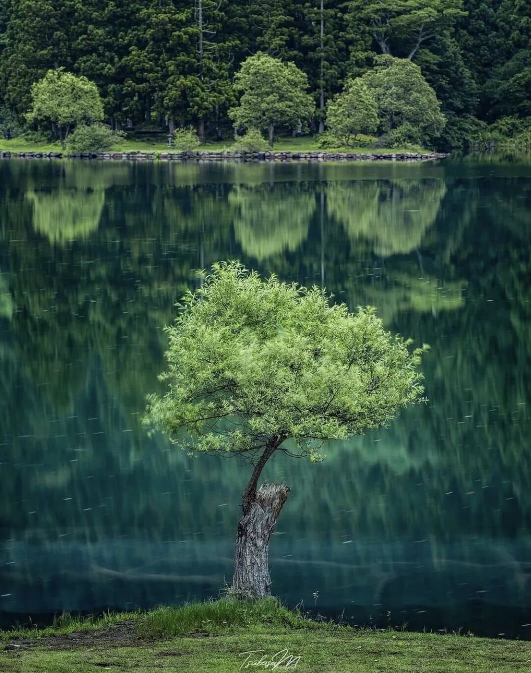 what does buddhism mean