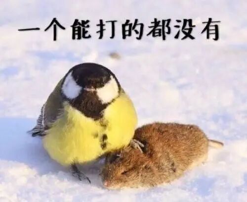 几款飞机杯推荐【老司机】盘点七款口碑超好的飞机杯插图1