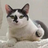 easylive飞机杯飞机杯新手最佳伴侣【奈奈子的秘密】慢玩进阶秘籍-B哥情报局-飞机杯测评