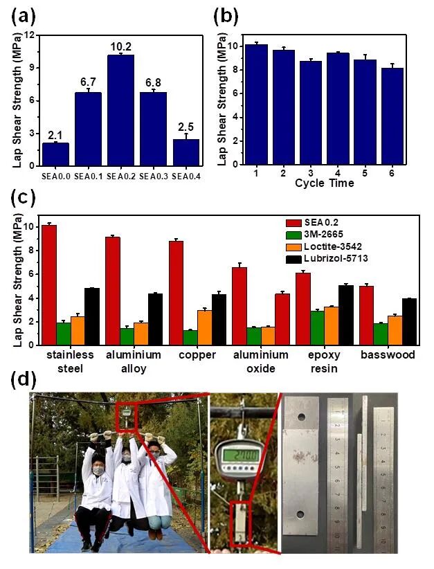 清华大学张希院士、徐江飞副研究员课题组：超强且可多次重复粘接的超分子环氧热熔胶的图2