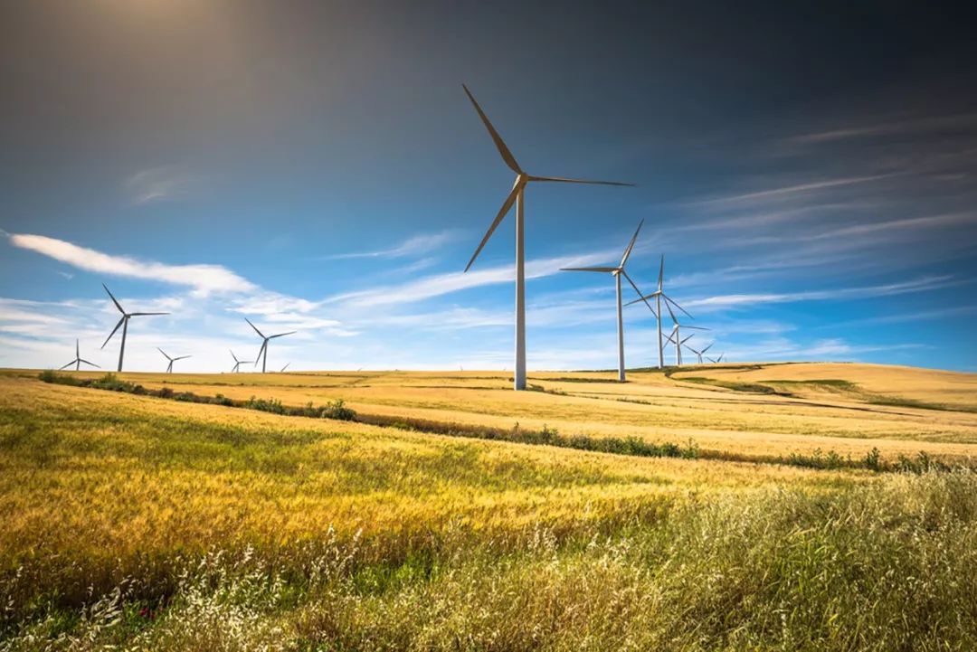 维多利亚州首次可再生能源发电招标结果本周发布，6家企业中标
