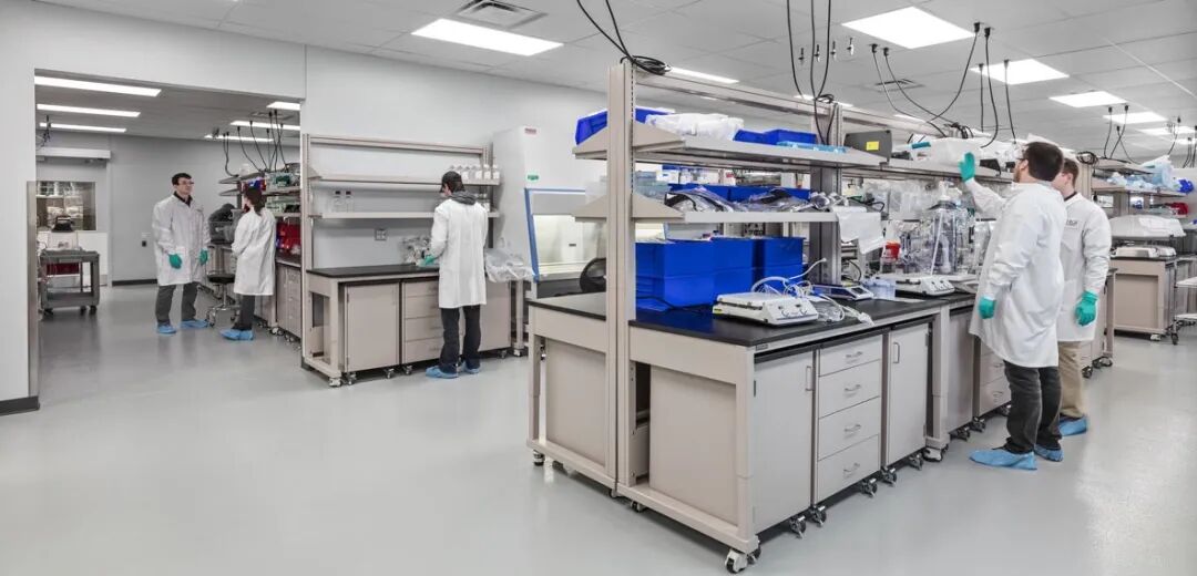 fa6100怎么使用丁妈深点评｜诺奖同源黑科技？深挖娇兰6100元「量子」超光CP_https://www.jmylbn.com_新闻资讯_第12张