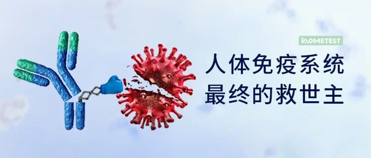 fa6100怎么使用丁妈深点评｜诺奖同源黑科技？深挖娇兰6100元「量子」超光CP_https://www.jmylbn.com_新闻资讯_第28张