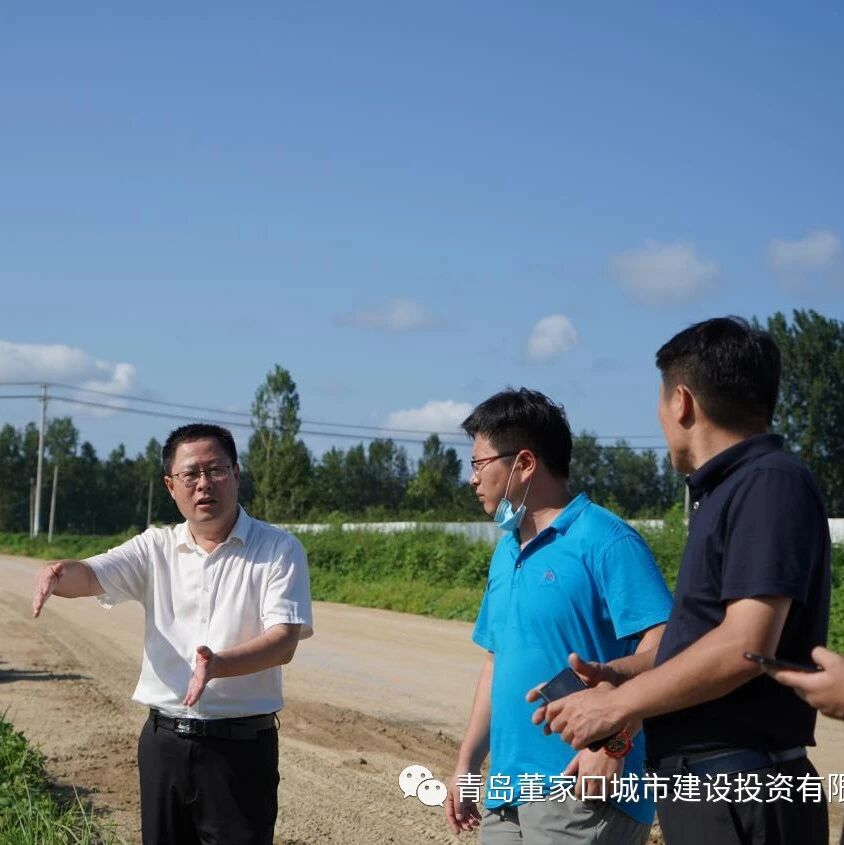 青岛董家口城市建设投资有限公司 工作巡查