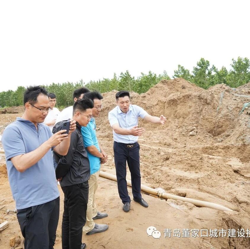 青岛董家口城市建设投资有限公司 工作巡查