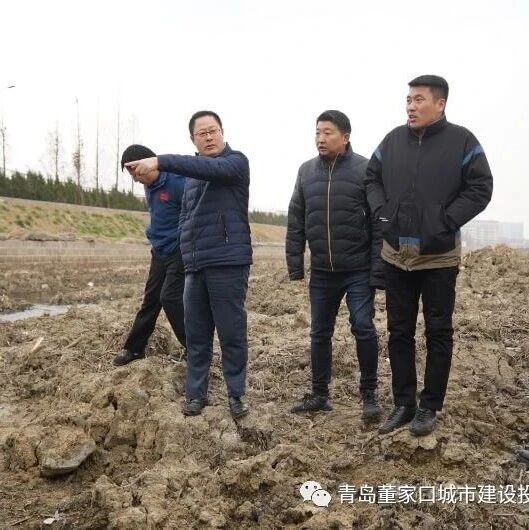 河道整治工程例行巡视督查