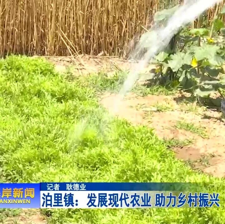 发展现代农业 助力乡村振兴