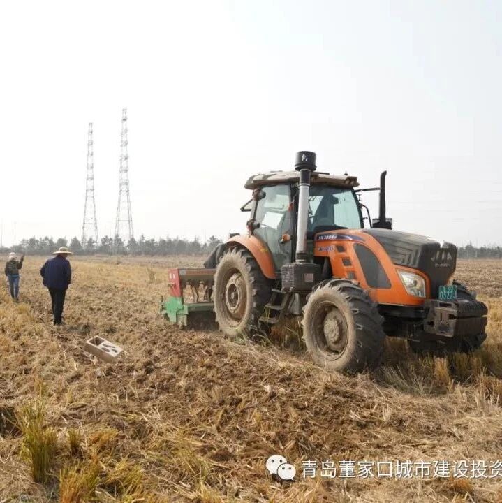 席乡田园抢抓农时加快播种小麦