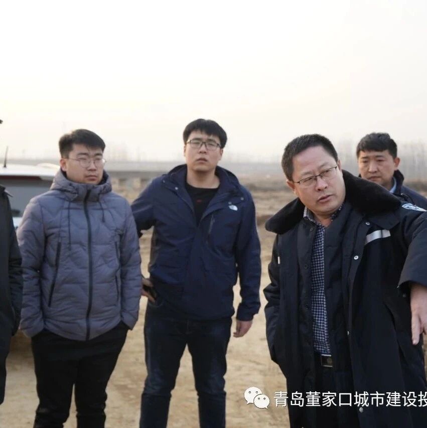 青岛董家口城市建设投资有限公司 例行工作巡查