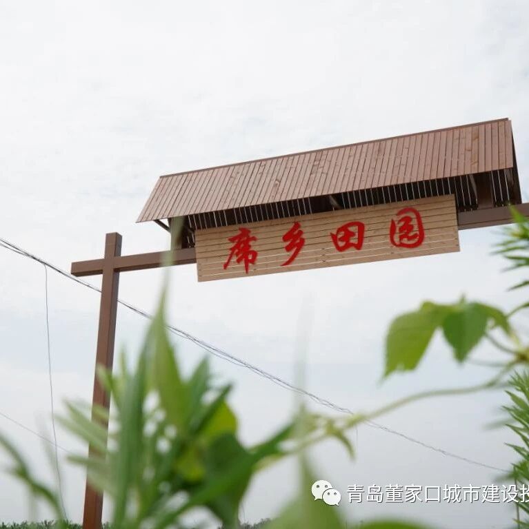 抢占乡村振兴新高地 席乡田园打造现代农产园