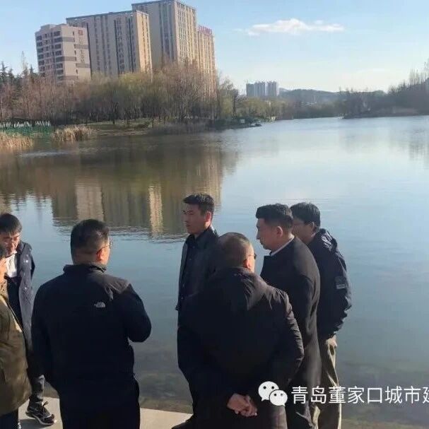 青岛董家口城市建设投资有限公司组织赴李沧区李村河公园考察学习