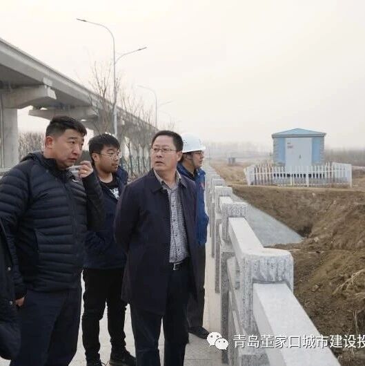 青岛董家口城市建设投资有限公司 例行工作巡查